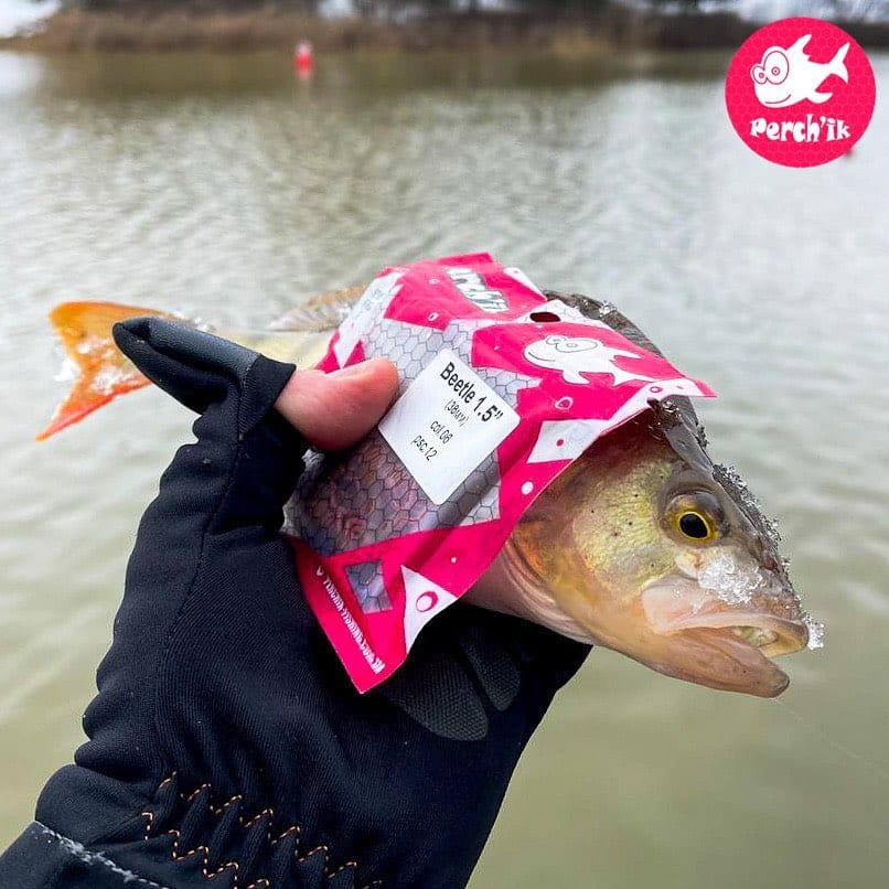 Post 6 by TM "Perch'ik" on Instagram (carousel)