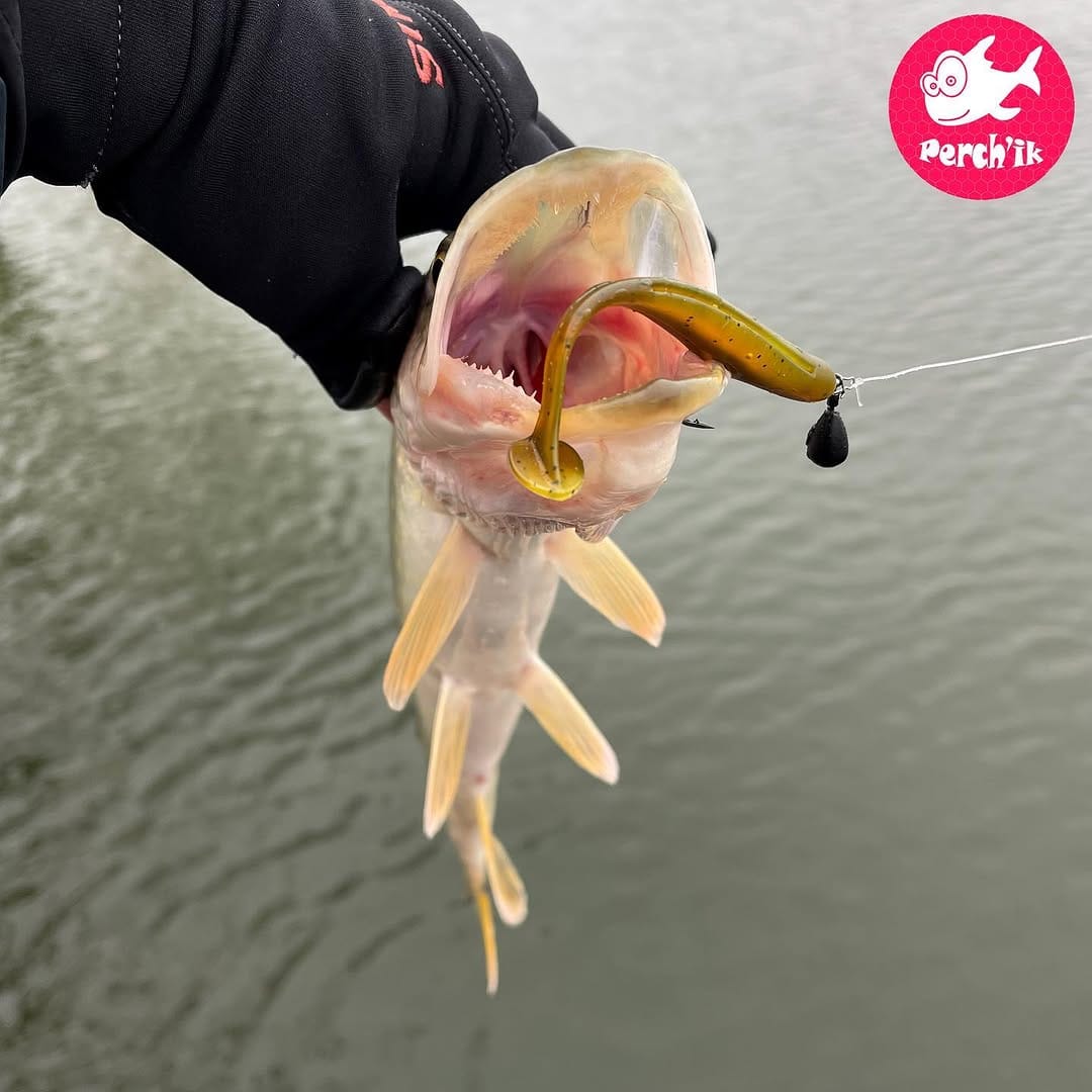 Post 5 by TM "Perch'ik" on Instagram (image)