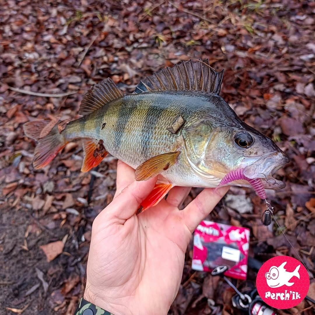 Post 4 by TM "Perch'ik" on Instagram (carousel)