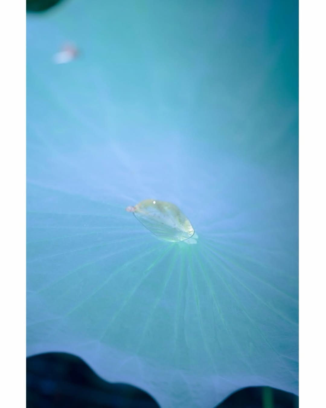 Post 4 by GALLERY SCENA. on Instagram (image)