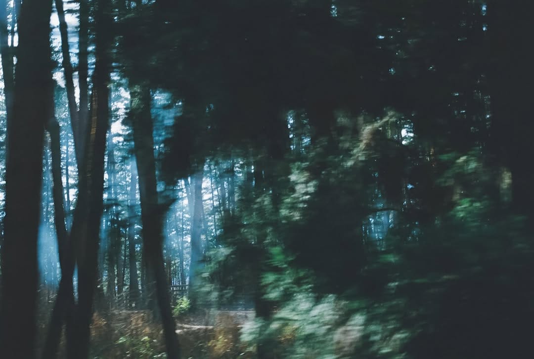 Post 6 by GALLERY SCENA. on Instagram (image)