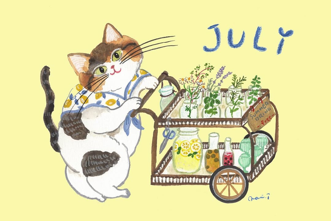 Post 1 by トミタ マミ　Mami Tomita on Instagram (carousel)