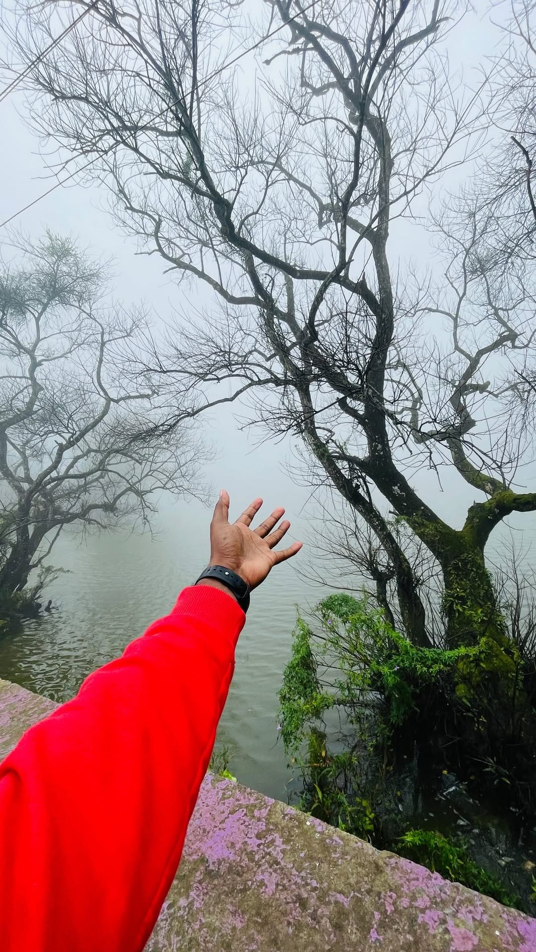 Post 1 by சேலம் on Instagram (video)