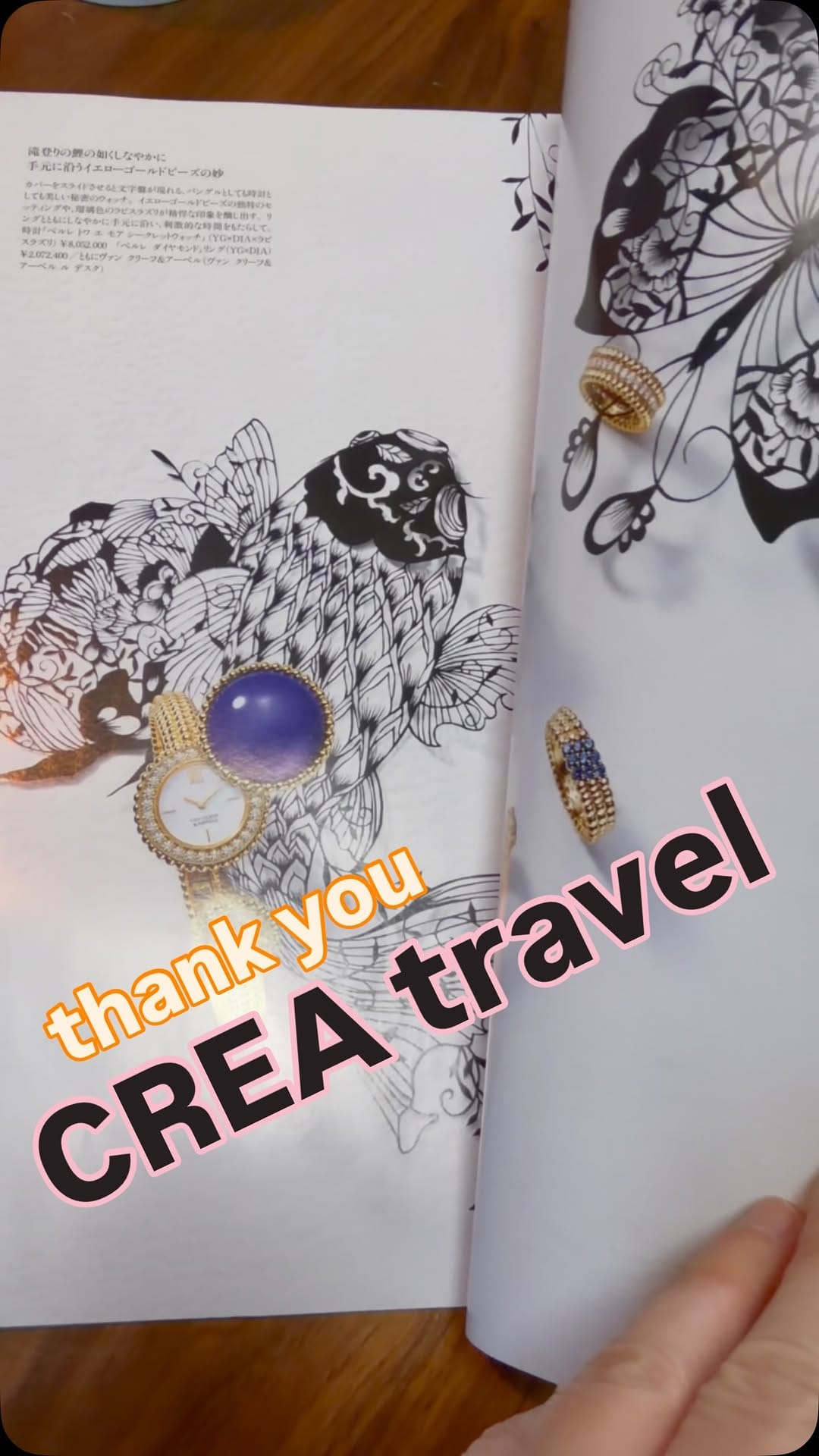 Post 3 by レース切り絵画家　蒼山日菜　HinaAoyama on Instagram (video)
