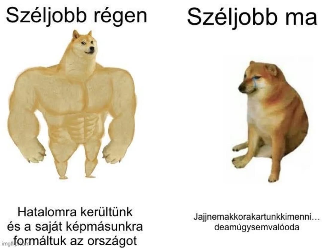 Post 6 by Illiberal Memes on Instagram (carousel)