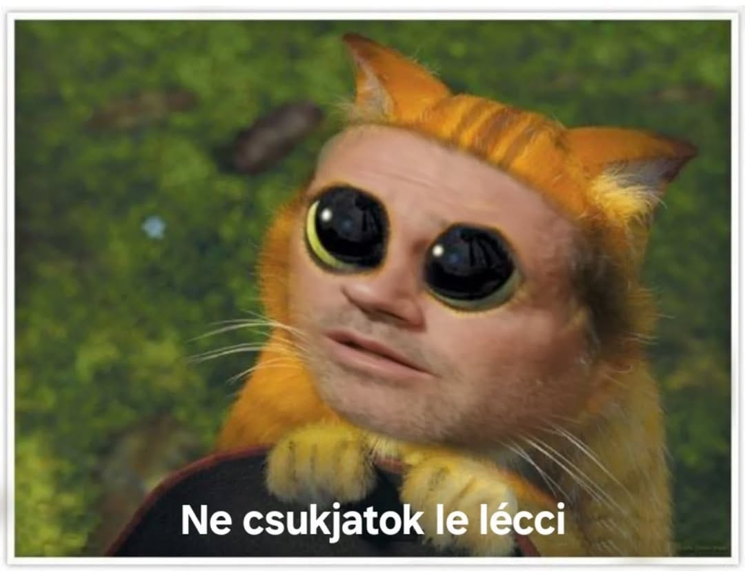 Post 8 by Illiberal Memes on Instagram (carousel)