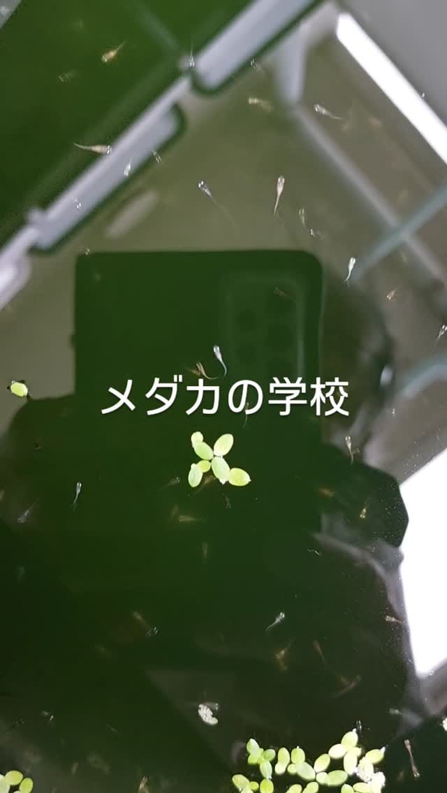 Post 5 by たか ぽん on Instagram (video)