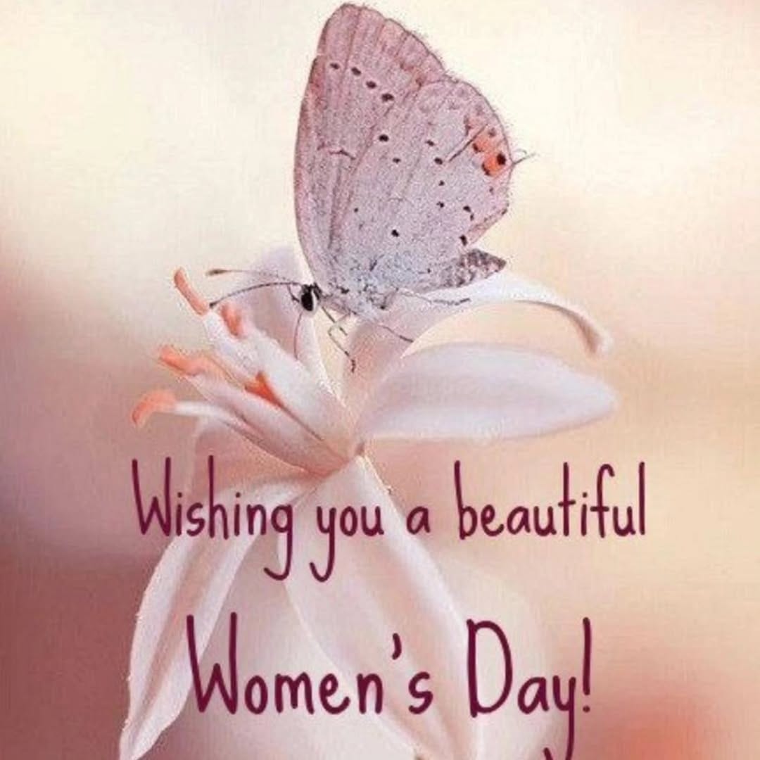 Post 8 by Shirin Bina | شیرین بینا on Instagram (image)