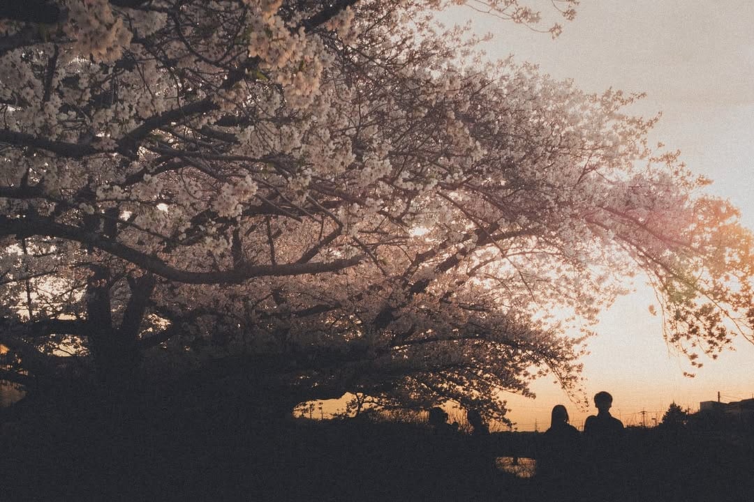 Post 5 by yohei kamei | 亀井洋平 on Instagram (image)