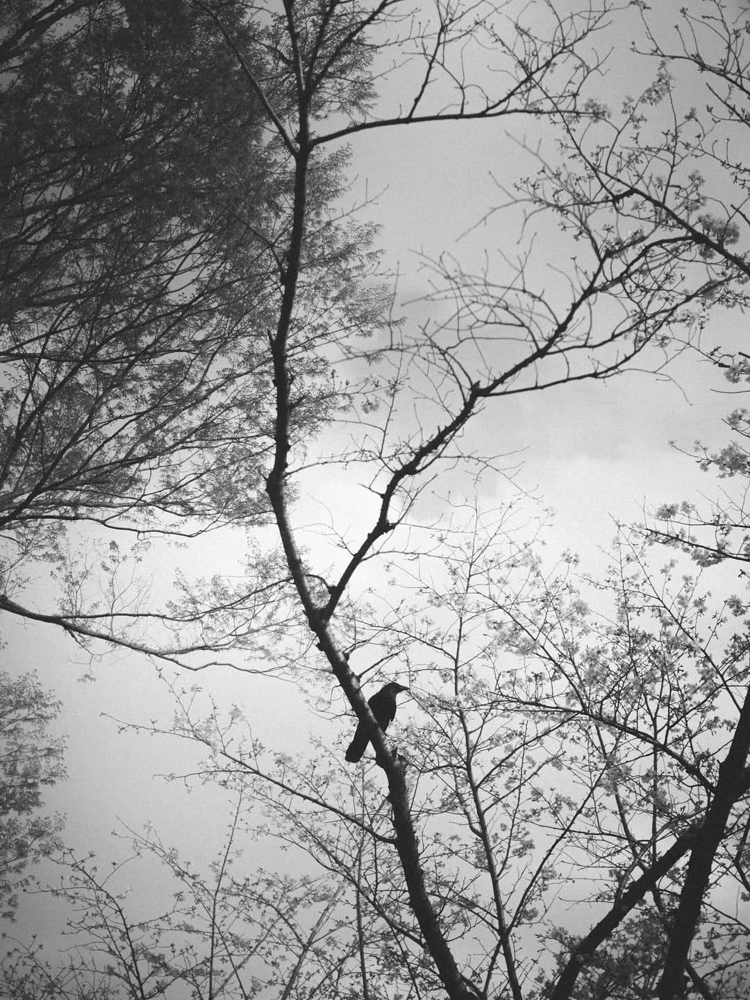 Post 7 by yohei kamei | 亀井洋平 on Instagram (image)