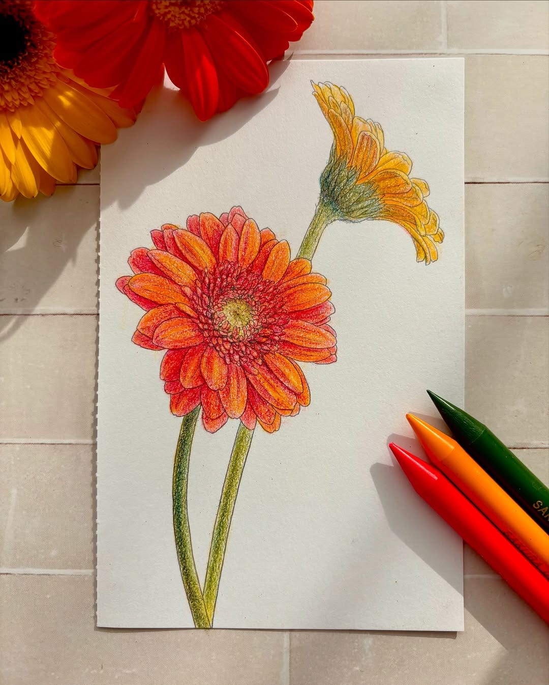 Post 8 by Azusa🎨Coloring/Drawing on Instagram (carousel)