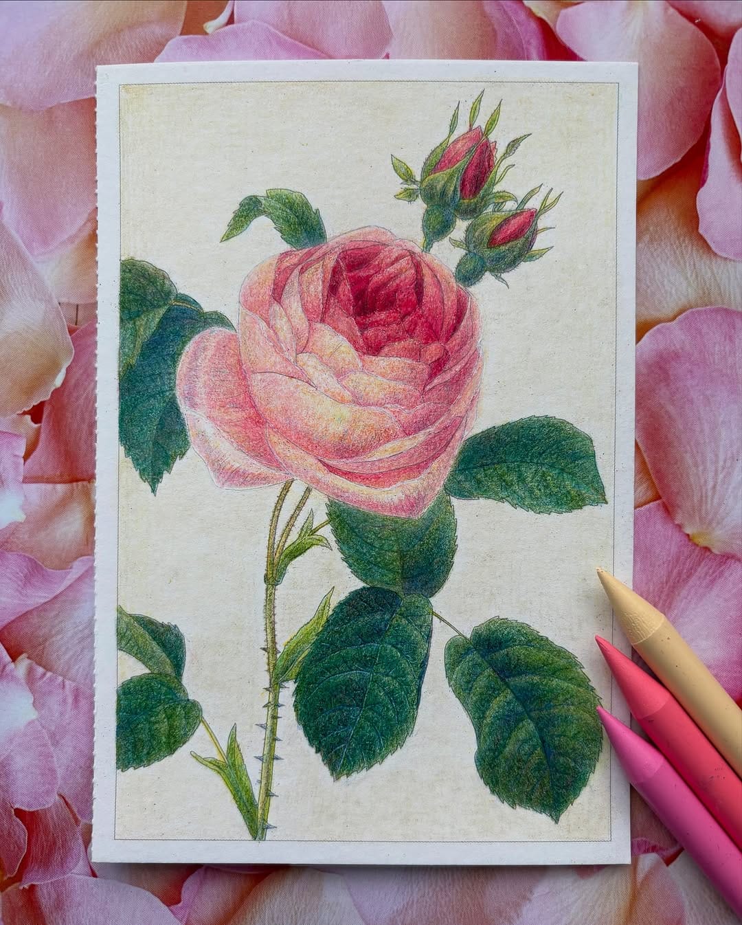 Post 10 by Azusa🎨Coloring/Drawing on Instagram (carousel)