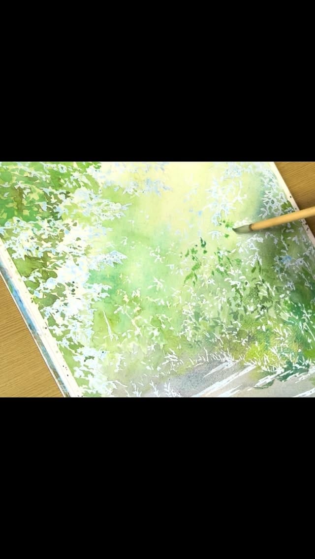 Post 8 by Ayumu on Instagram (video)