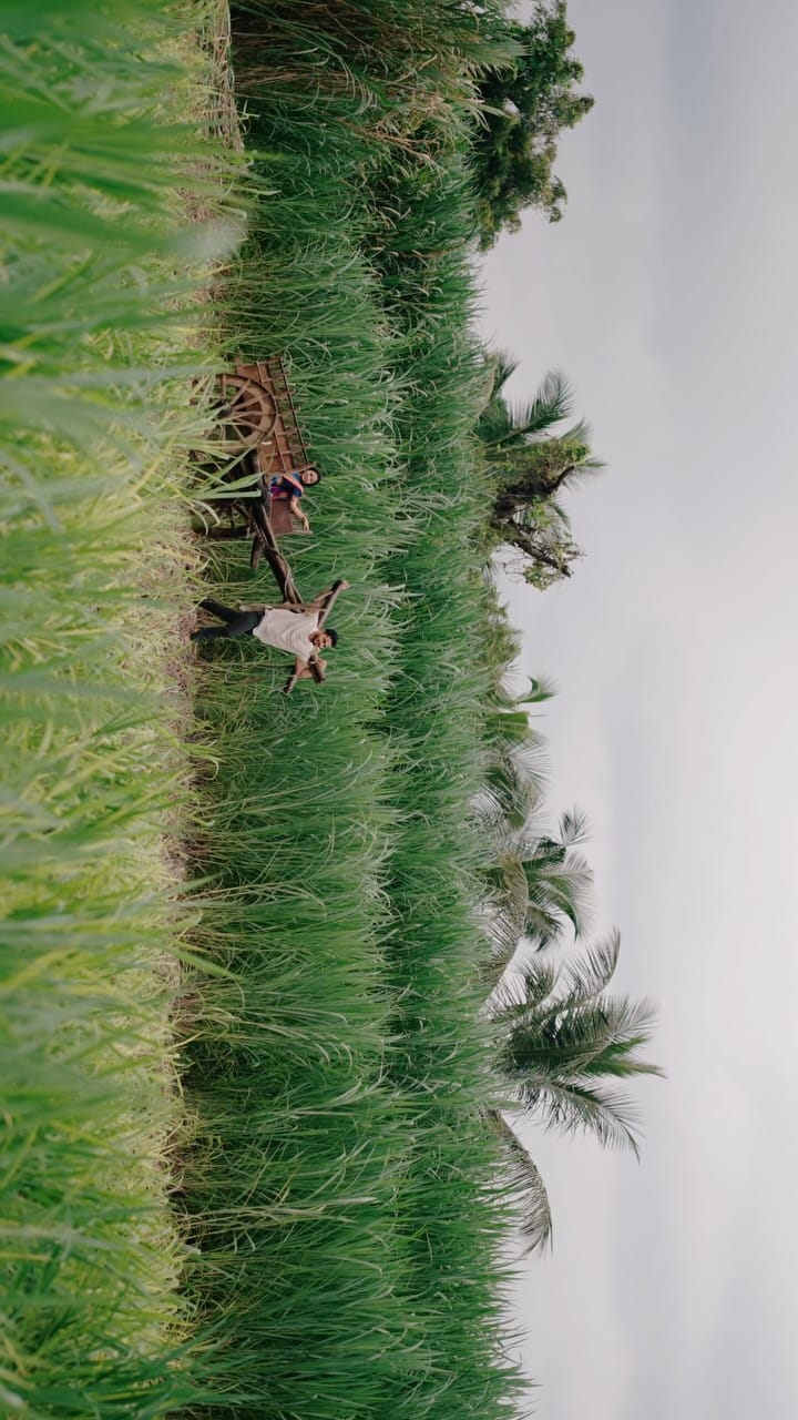 Post 1 by Shubham Bhosale on Instagram (video)
