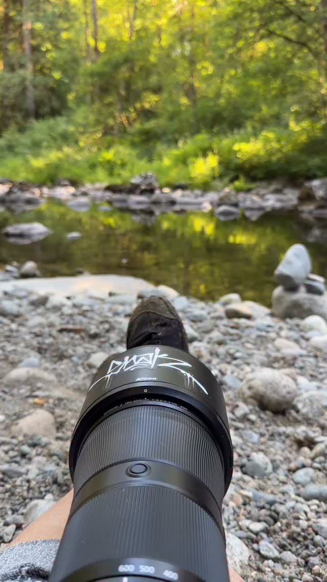 Post 3 by Evelyn Weber on Instagram (video)