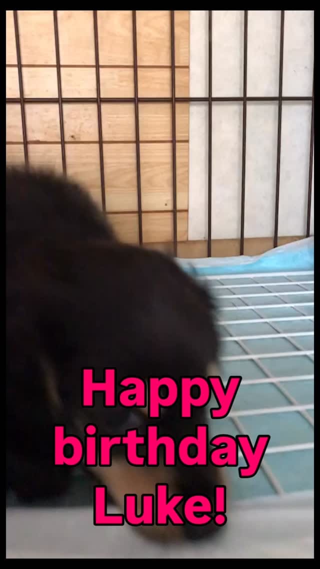 Post 5 by Masahiro.em on Instagram (video)