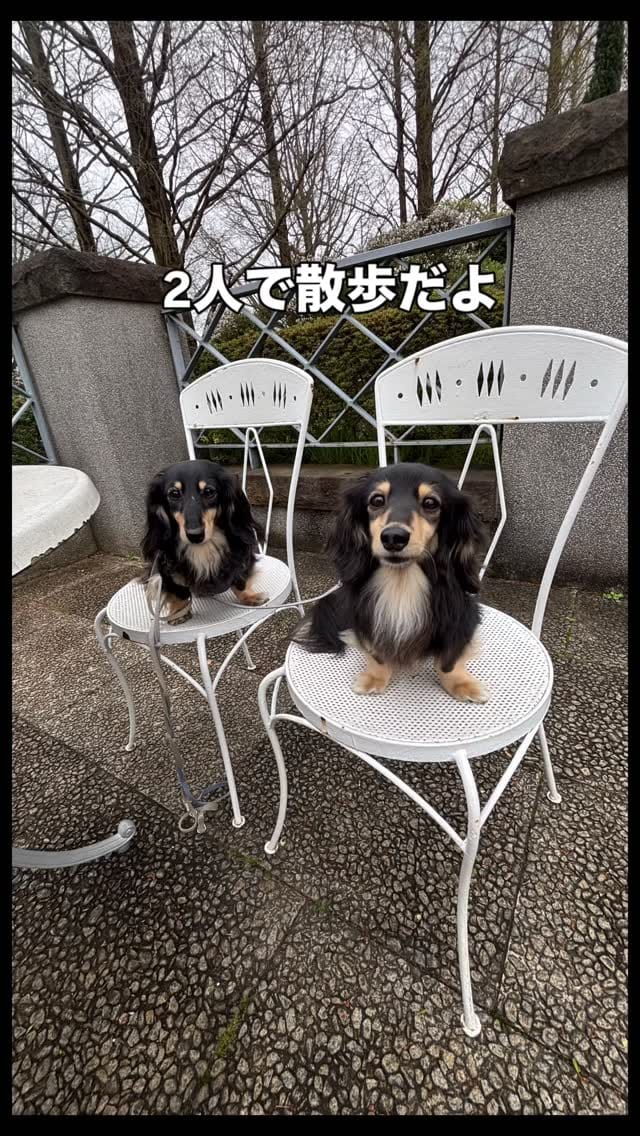 Post 6 by Masahiro.em on Instagram (video)