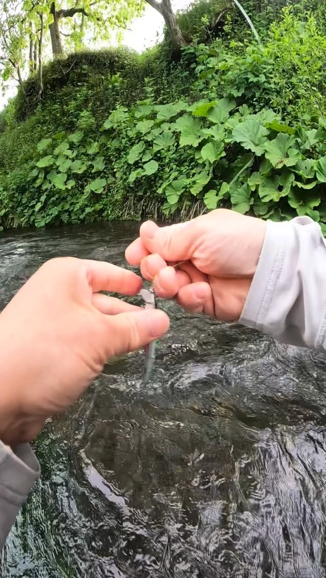 Post 1 by nori on Instagram (video)