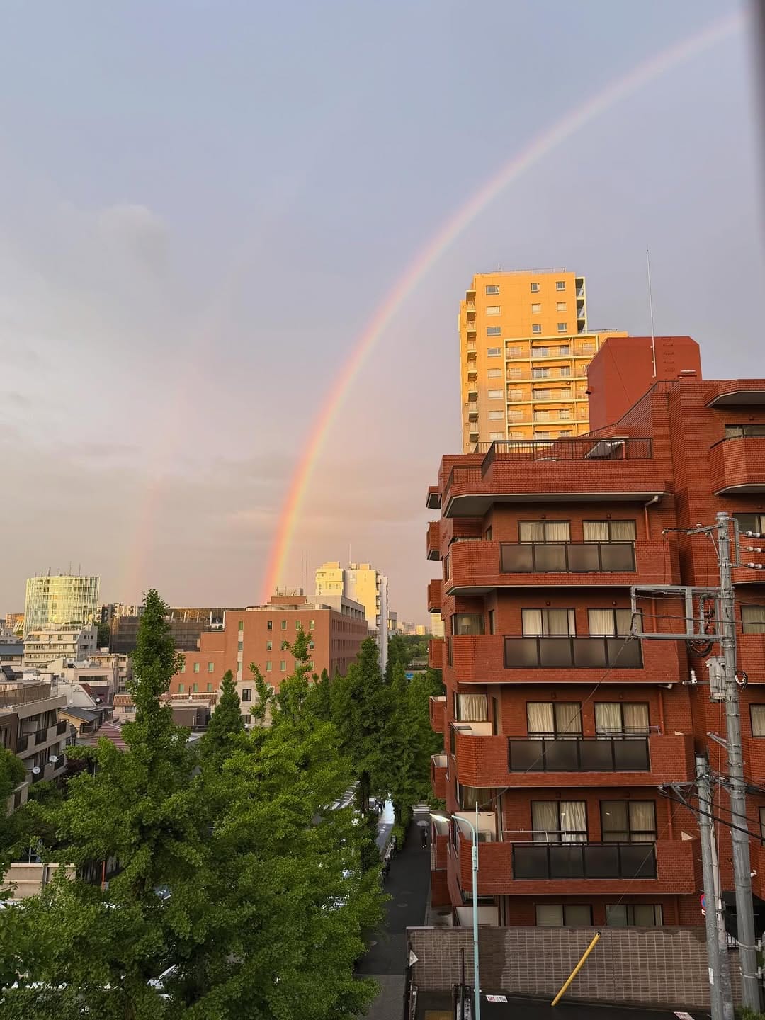 Post 4 by 大島 慶一郎 on Instagram (image)