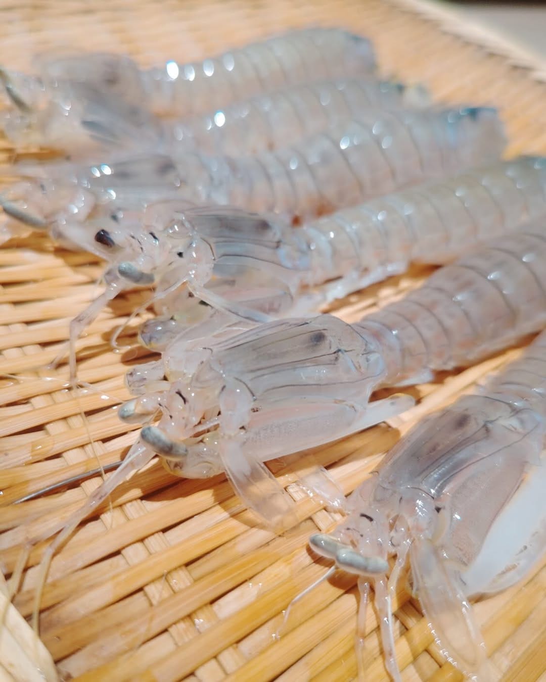 Post 8 by 鮨　詠心　SUSHI EISHIN on Instagram (image)