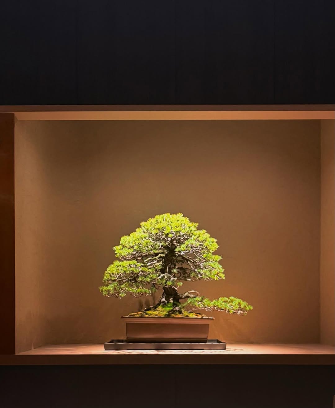 Post 1 by 鮨　詠心　SUSHI EISHIN on Instagram (image)