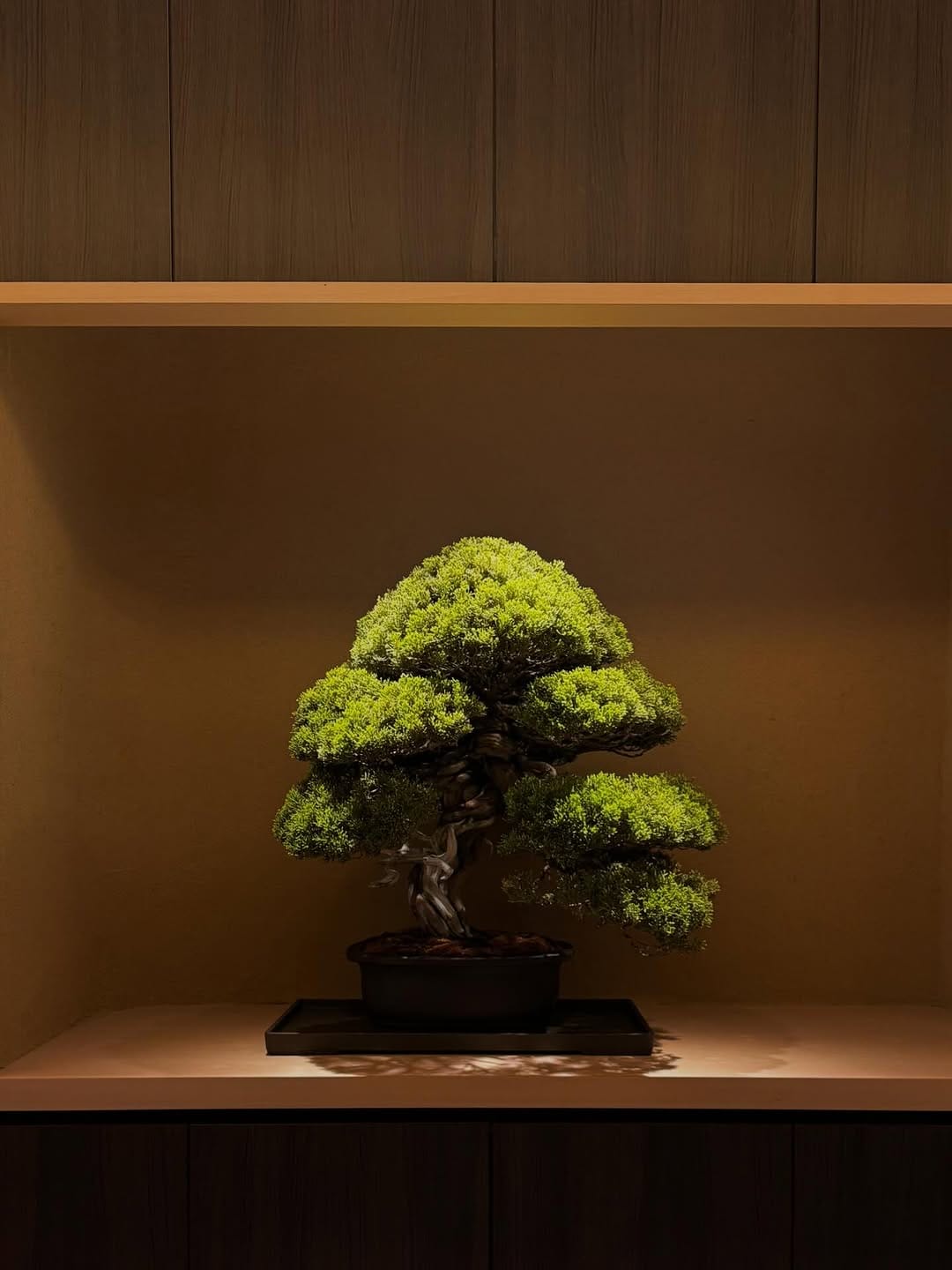 Post 3 by 鮨　詠心　SUSHI EISHIN on Instagram (image)
