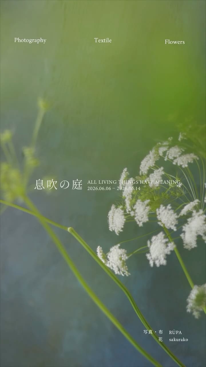 Post 7 by 戸畑 桜子 on Instagram (video)