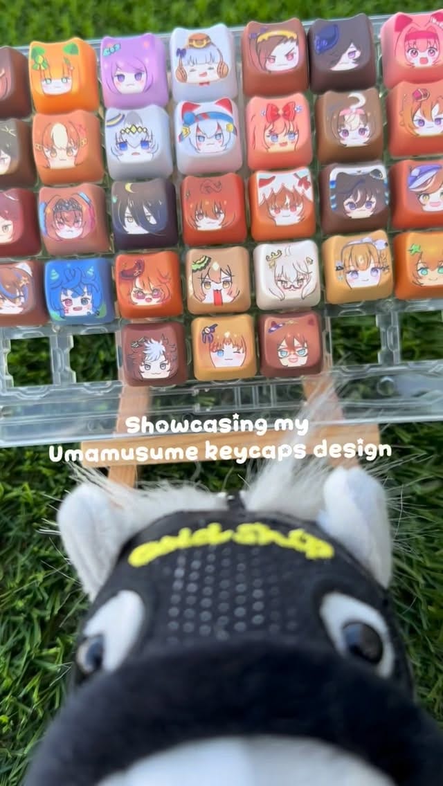 Post 1 by Usagi_ on Instagram (video)