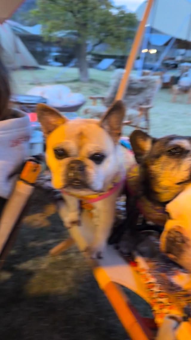 Post 6 by Dパパ on Instagram (video)