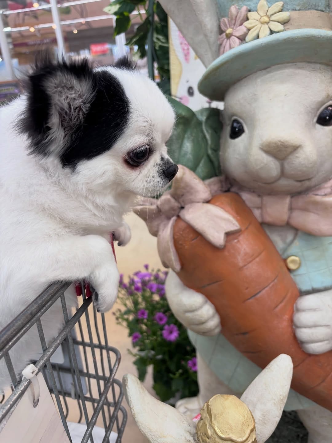 Post 8 by 🐾Hina&Uta🐾 on Instagram (carousel)