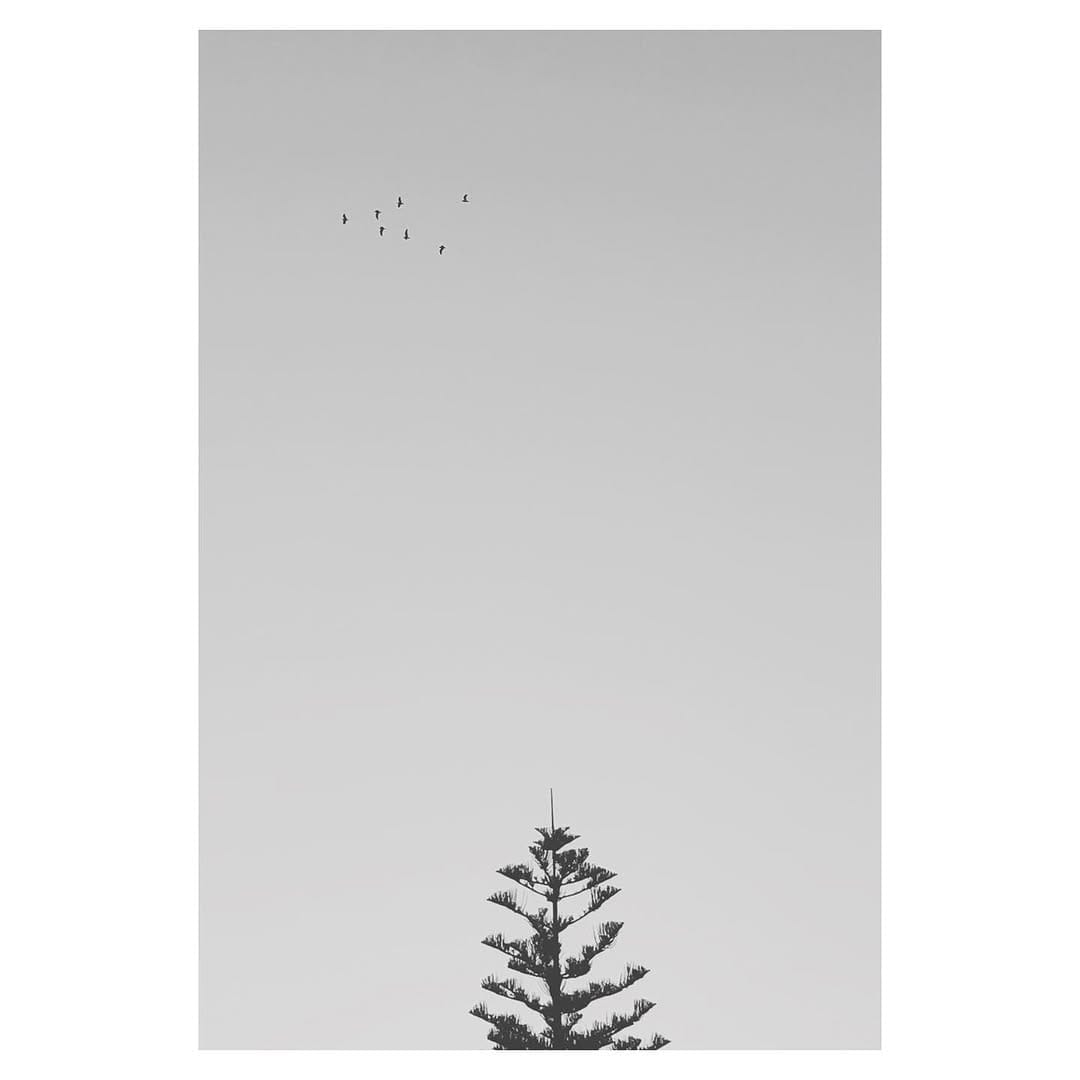 Post 9 by Sisilia Tiseli. on Instagram (image)