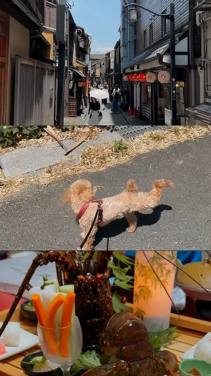 Post 5 by Mika Taniyama on Instagram (video)