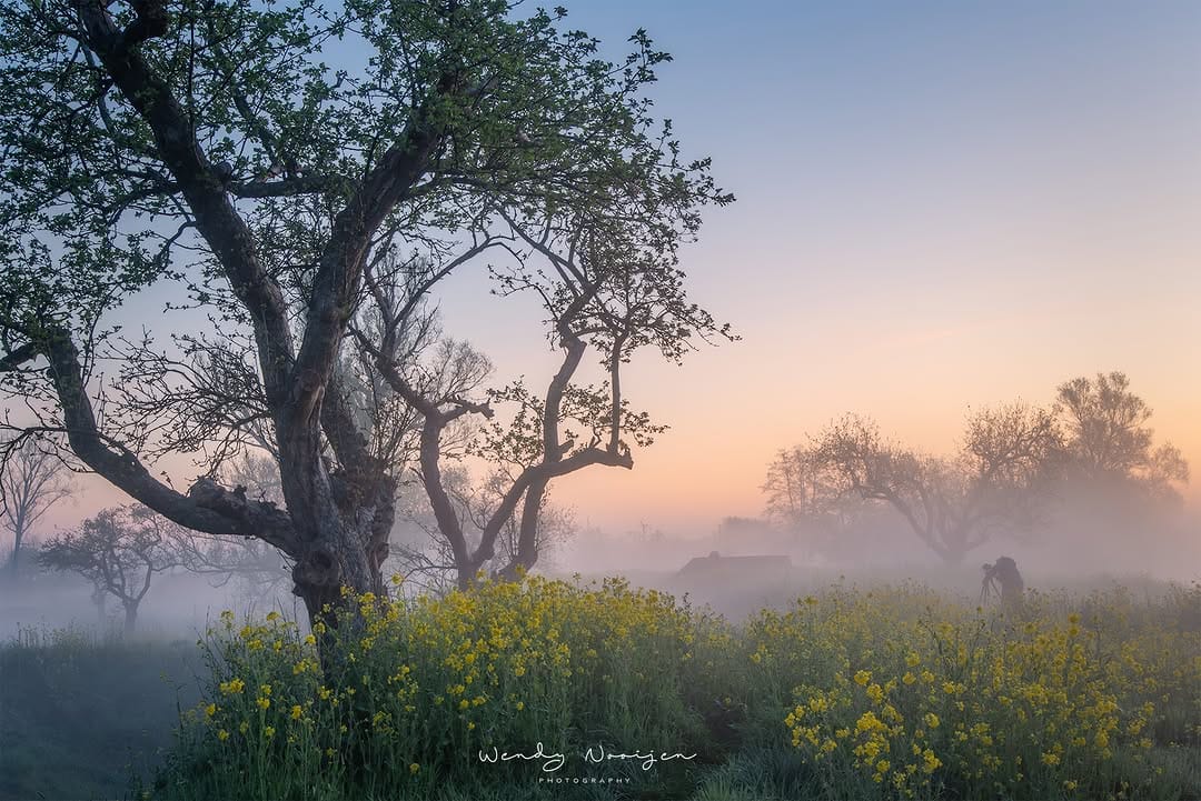 Post 9 by Wendy Nooijen on Instagram (image)