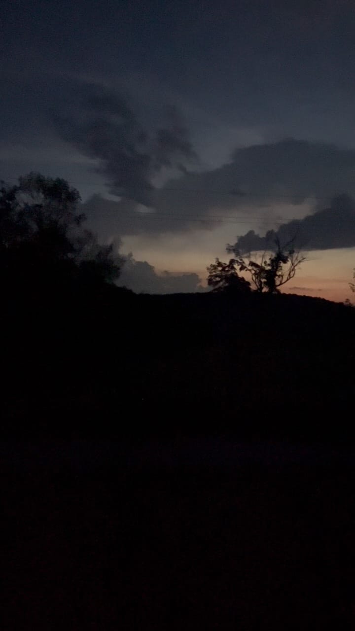 Post 1 by Yuri Shimojo 下條ユリ on Instagram (video)
