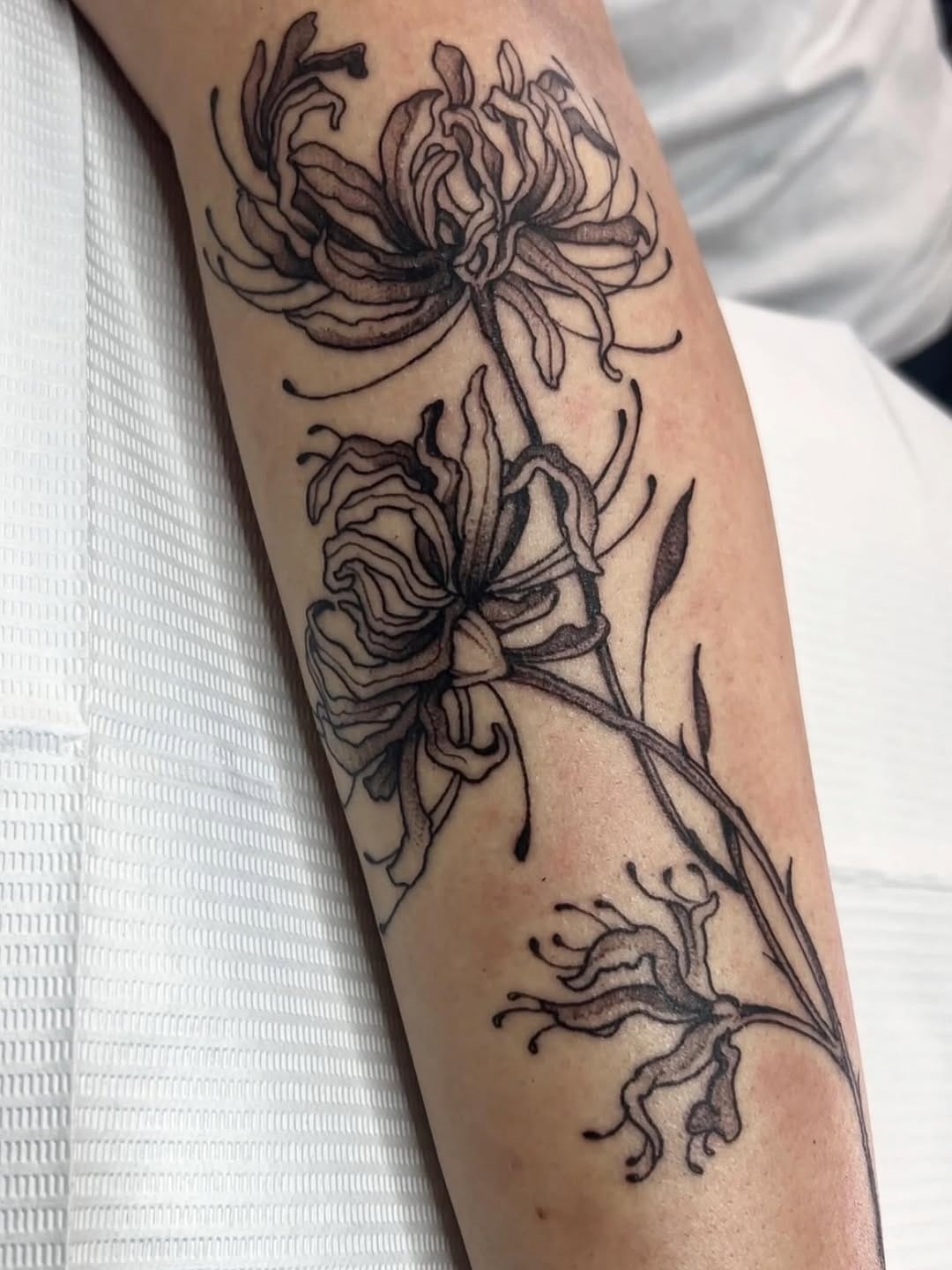 Post 6 by 𝕵𝖚𝖓𝖔 𝖗𝖔𝖆𝖈𝖍 𝖙𝖆𝖙𝖙𝖔𝖔 on Instagram (image)