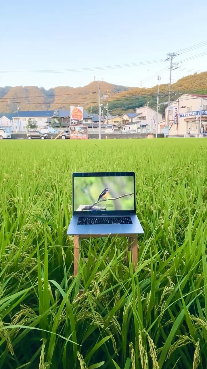 Post 8 by SHOBUN 最終処分 on Instagram (video)
