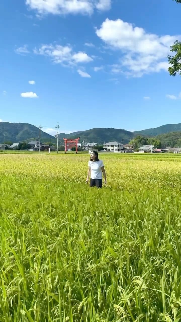 Post 6 by SHOBUN 最終処分 on Instagram (video)