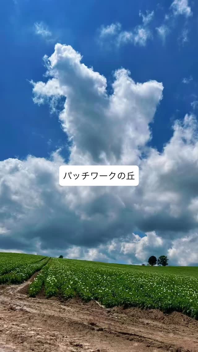 Post 2 by Ikuko on Instagram (video)