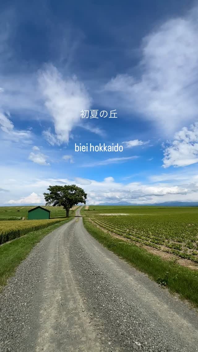 Post 5 by Ikuko on Instagram (video)