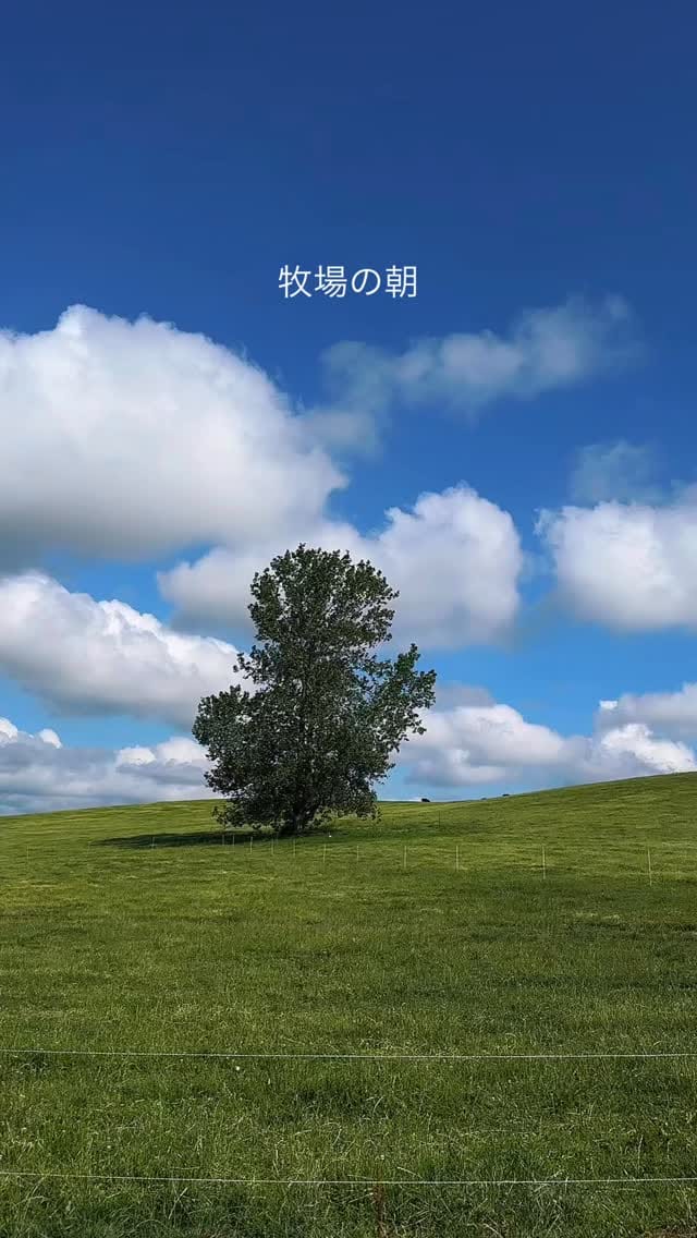 Post 1 by Ikuko on Instagram (video)