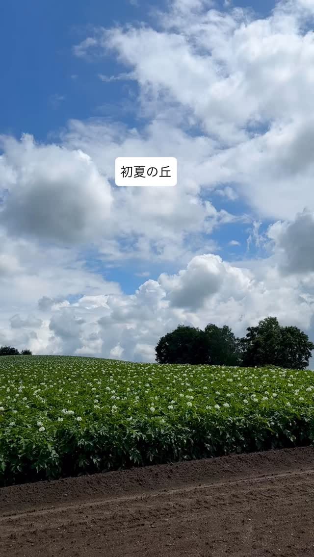 Post 6 by Ikuko on Instagram (video)