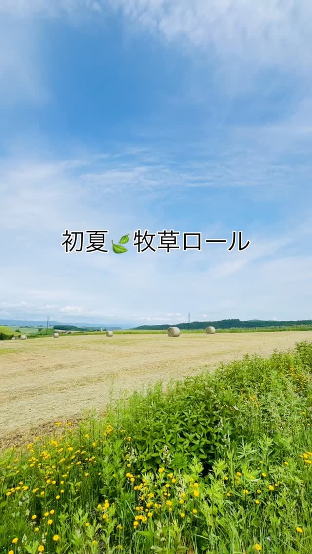 Post 10 by Ikuko on Instagram (video)