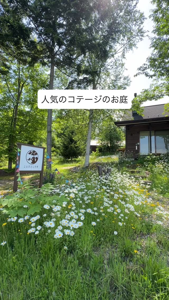 Post 8 by Ikuko on Instagram (video)