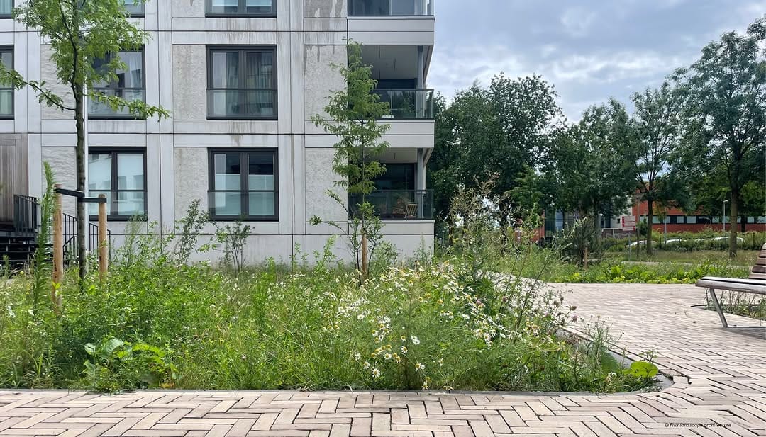Post 1 by Flux Landscape Architecture on Instagram (carousel)