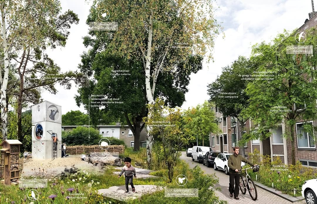 Post 6 by Flux Landscape Architecture on Instagram (carousel)