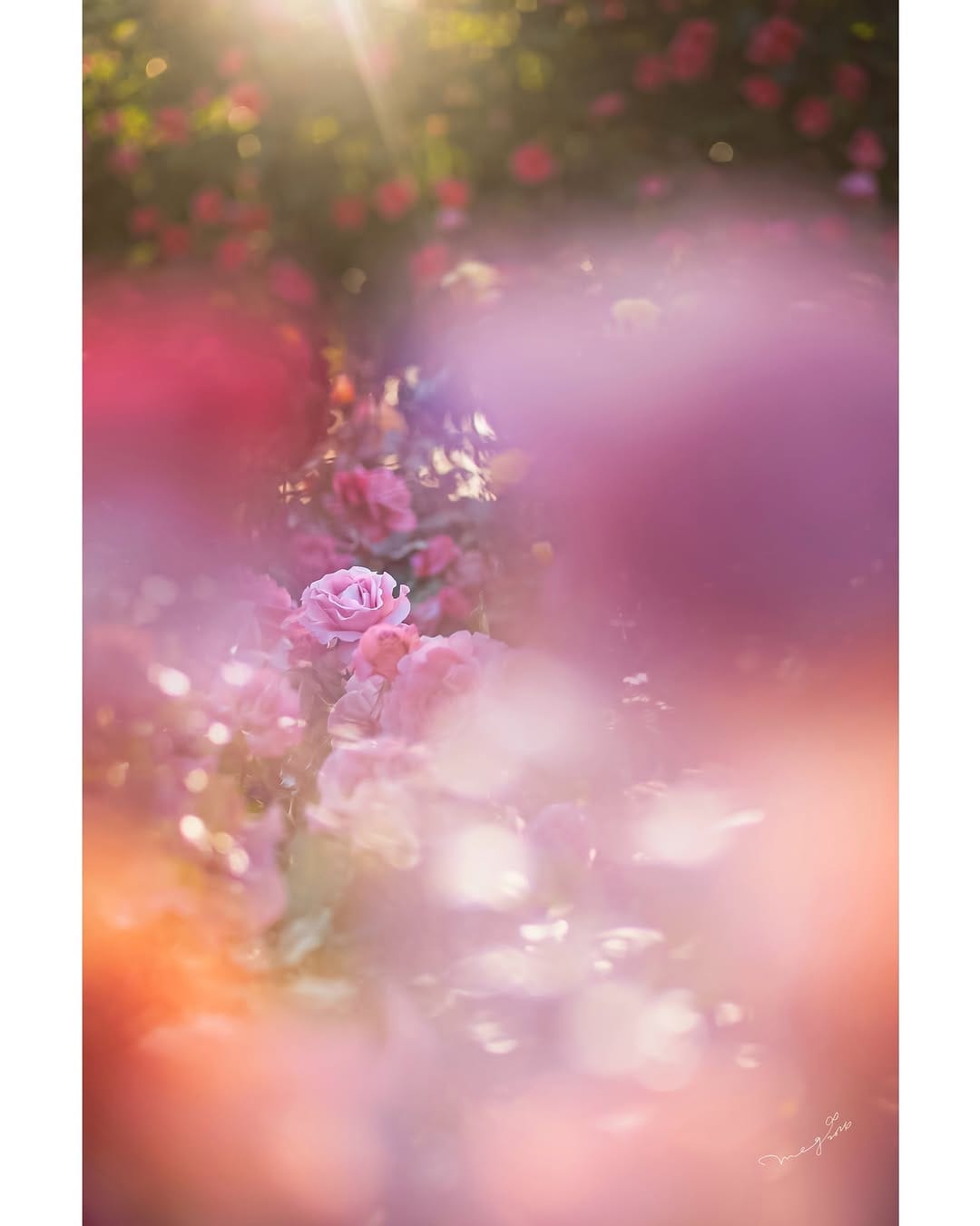 Post 7 by 晶ᴬᴷᴵᴷᴼ子 on Instagram (carousel)