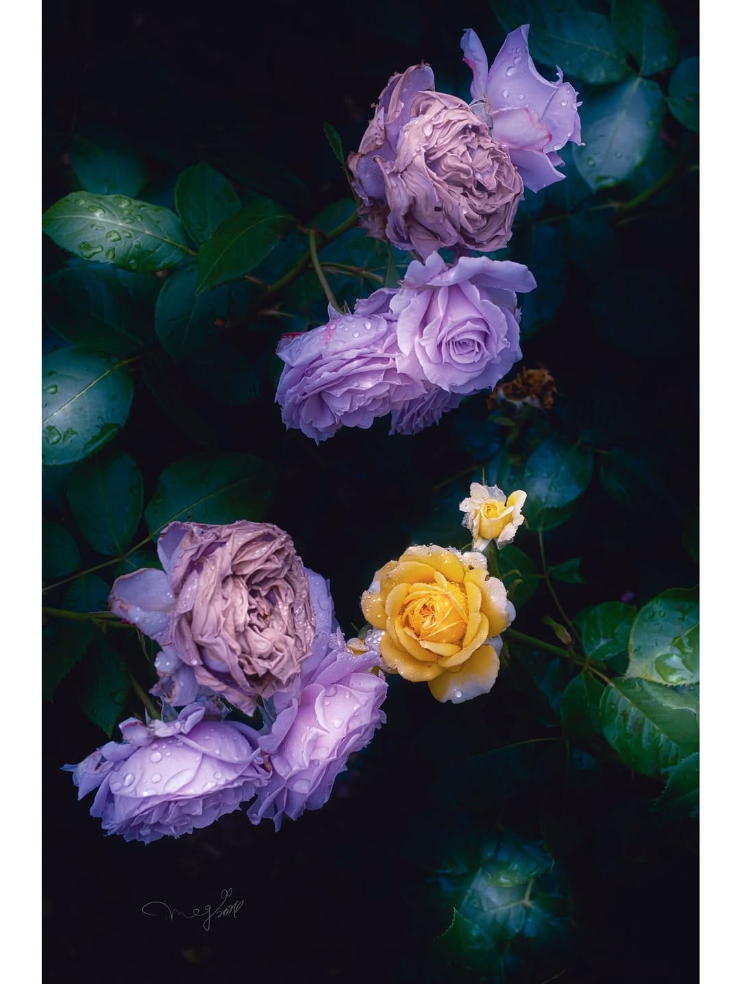 Post 6 by 晶ᴬᴷᴵᴷᴼ子 on Instagram (carousel)