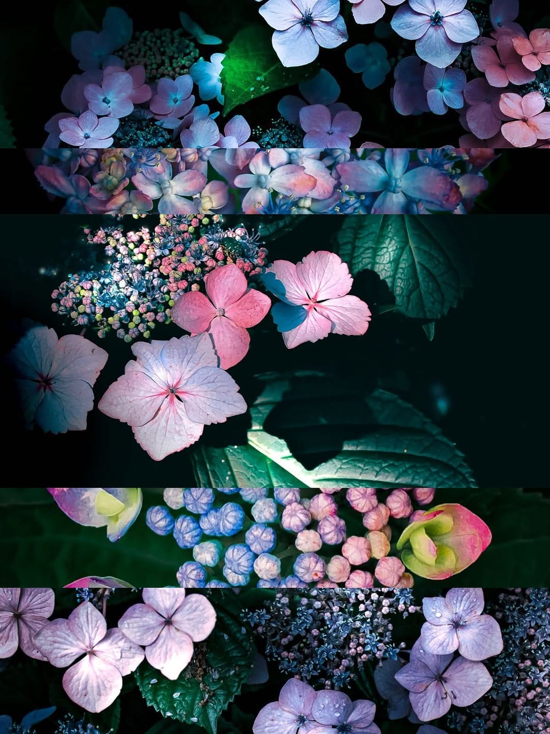 Post 4 by 晶ᴬᴷᴵᴷᴼ子 on Instagram (carousel)