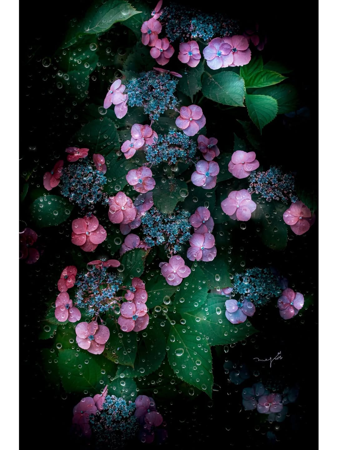 Post 3 by 晶ᴬᴷᴵᴷᴼ子 on Instagram (carousel)