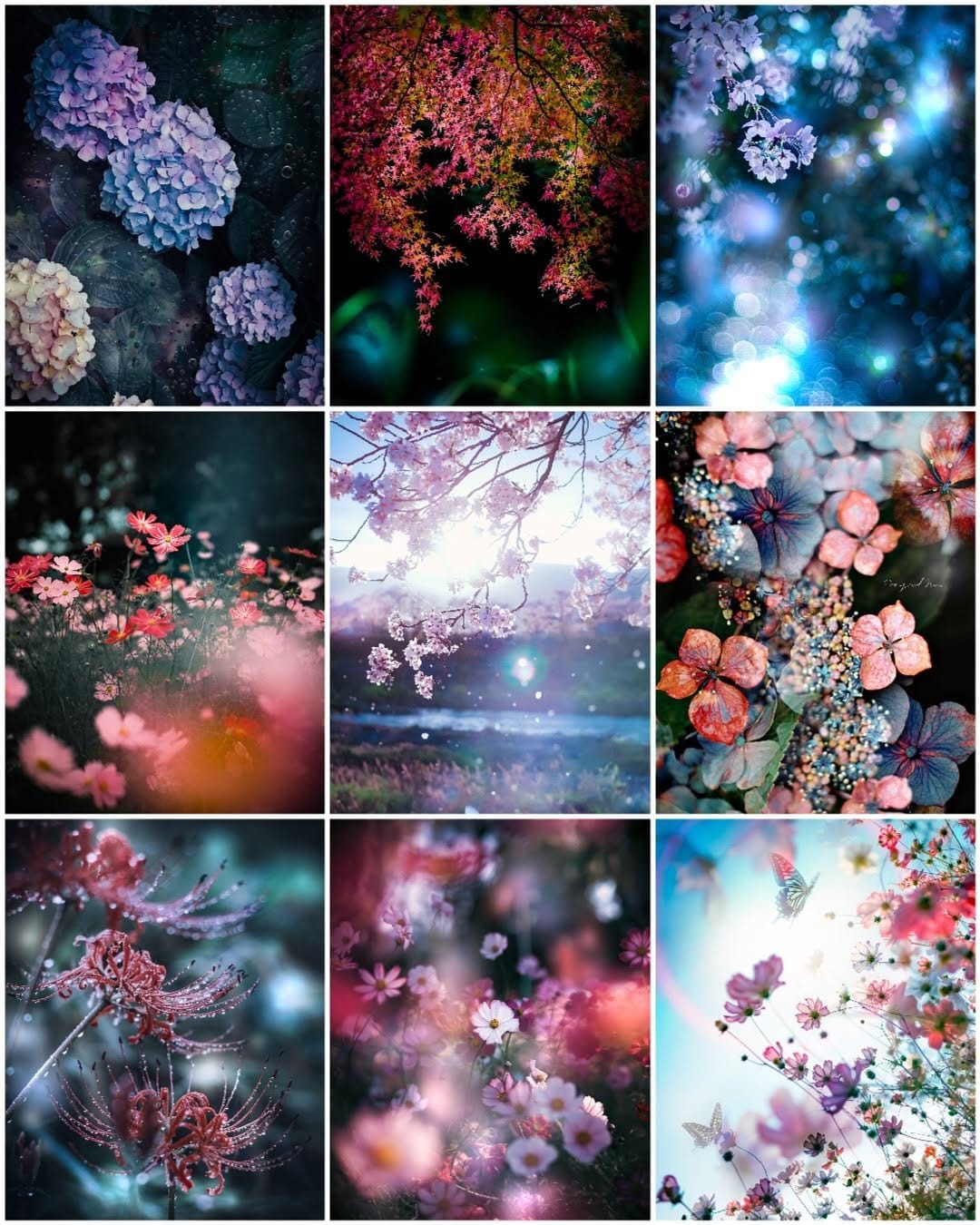 Post 9 by 晶ᴬᴷᴵᴷᴼ子 on Instagram (carousel)
